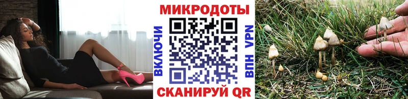 Купить  Талдом  Псилоцибиновые грибы Psilocybe 